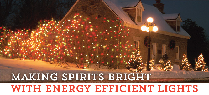 Deck the halls with energy efficient holiday lights.